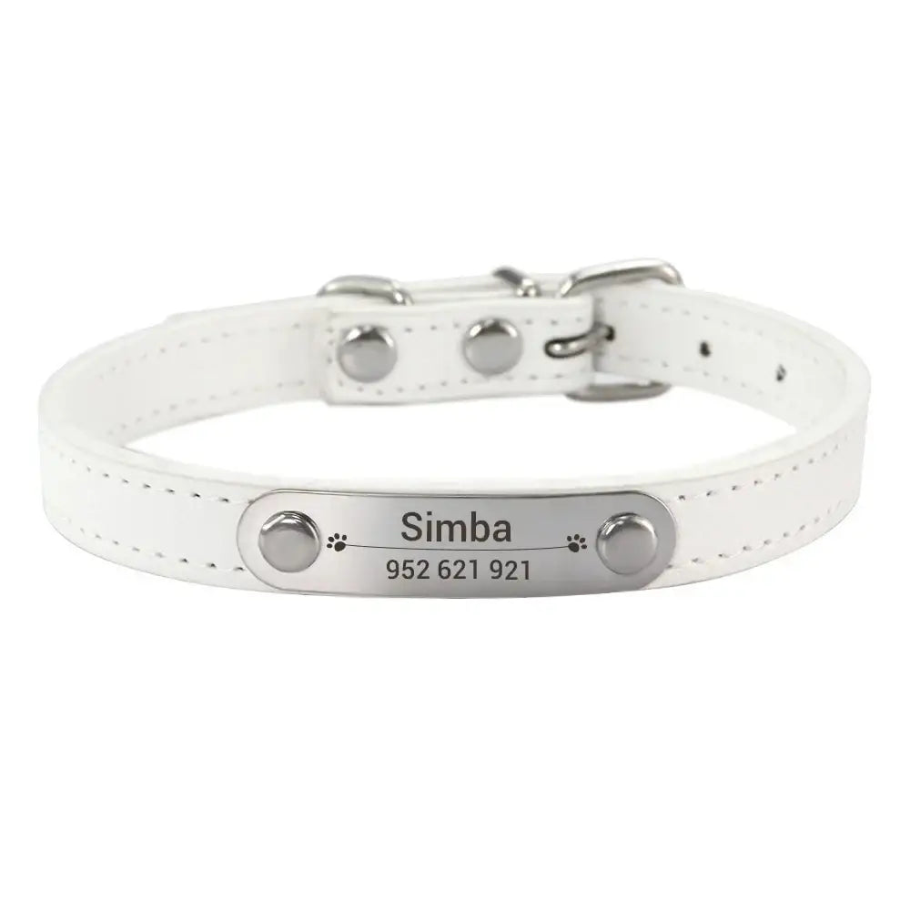 White leather dog collar with a personalized metal nameplate.