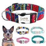 Personalized Patterned Dog Collar - Vignette | DoggyElite