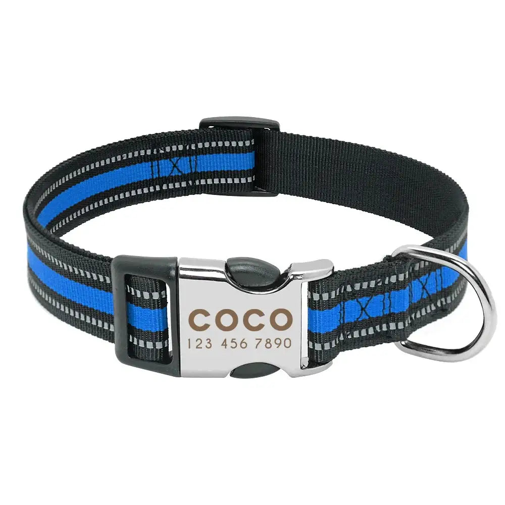 Dog collar with a blue stripe and personalized metal tag reading ’COCO’.