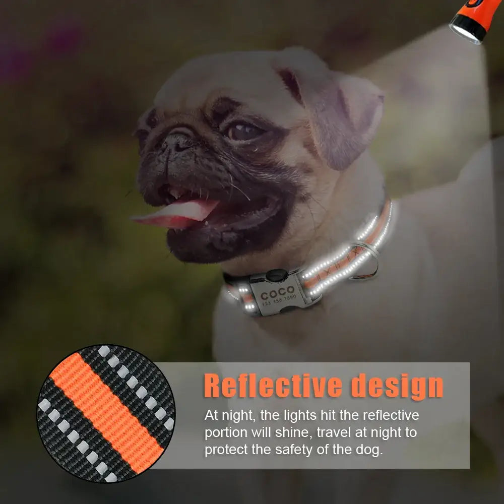 Pug dog wearing a reflective collar with an orange and gray striped design.