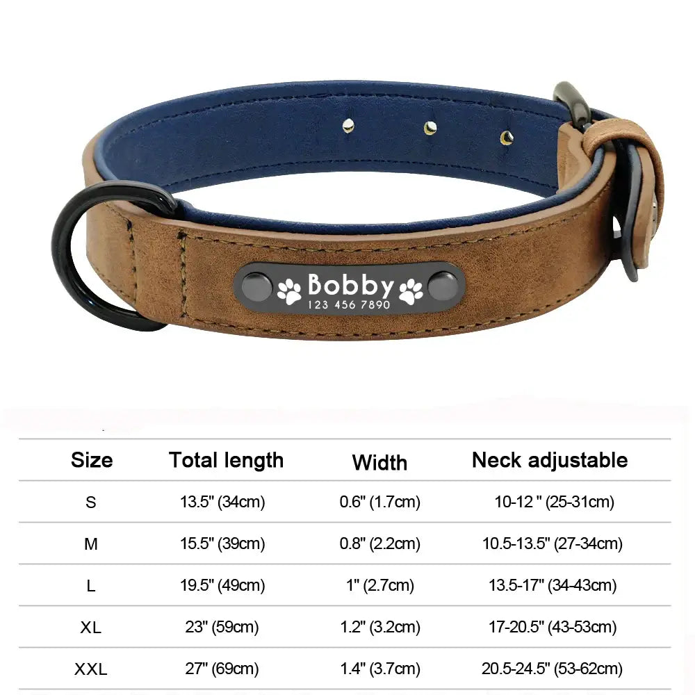 Dog collar with a personalized name tag and size chart below.