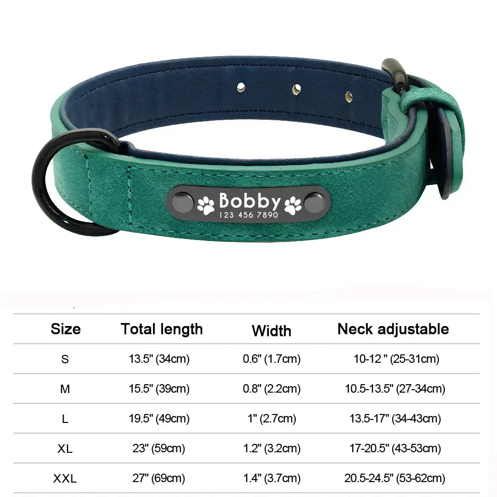 Green dog collar with a personalized name tag.