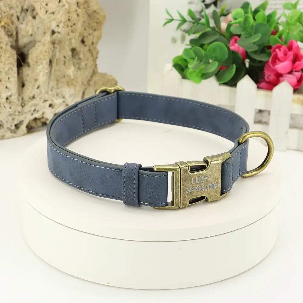 Blue leather dog collar with a gold-colored metal buckle and ring.