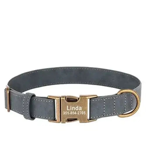 Gray leather dog collar with a gold-colored buckle and personalized nameplate.