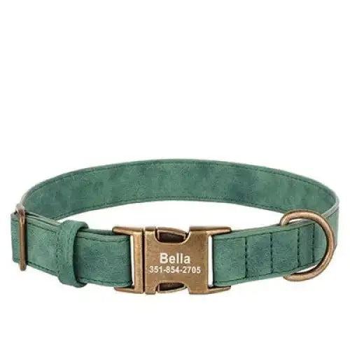 Green leather dog collar with a gold-toned buckle and personalized nameplate.