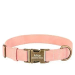 Personalized Pink Dog Collar with Name Tag - Vignette | DoggyElite