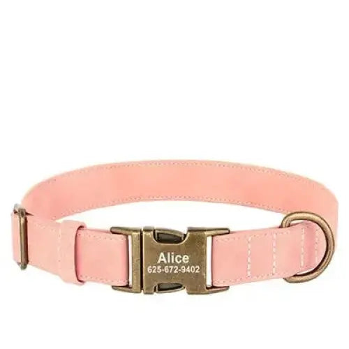 Pink dog collar with a metal buckle and personalized name tag.