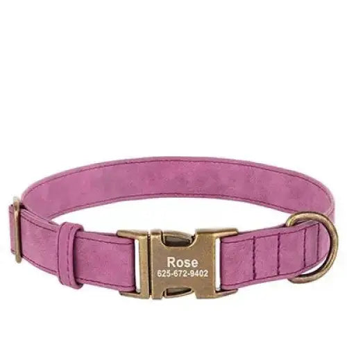 Pink leather dog collar with a metal buckle and personalized nameplate.