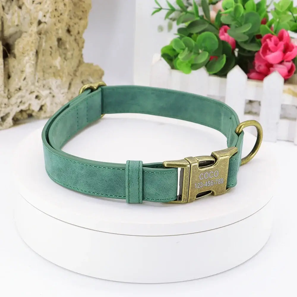 Teal leather dog collar with a gold-toned metal buckle.