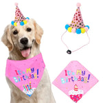 Pet Birthday Hat - Vignette | DoggyElite