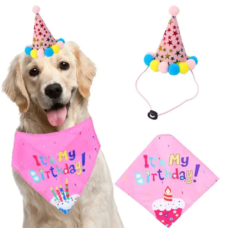 Golden Retriever wearing a pink birthday bandana and a colorful party hat.