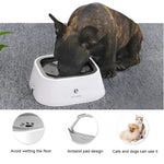 Pet Water Bowl in Four Colors - Vignette | DoggyElite