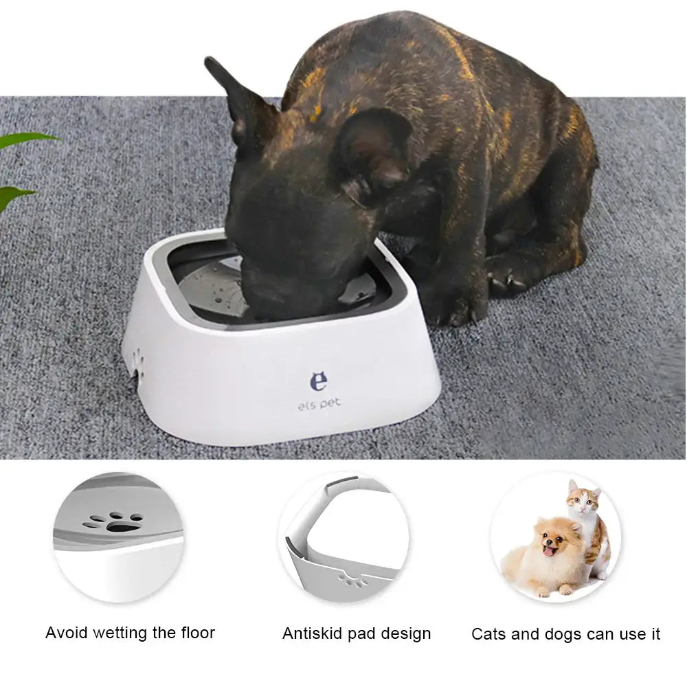 Dog drinking water from a white bowl-shaped pet water dispenser.