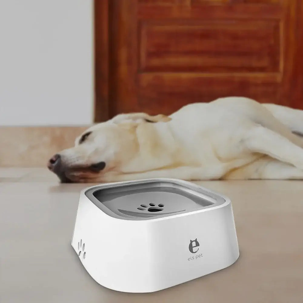 White pet water bowl with a paw print design on the inner surface.