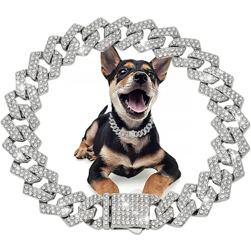 Excited Chihuahua dog wearing a diamond collar and framed by a sparkling diamond chain necklace.