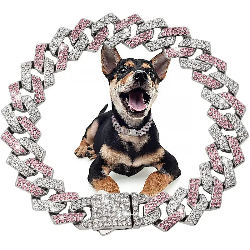 Excited Chihuahua dog framed by a glittery diamond and pink gemstone necklace.