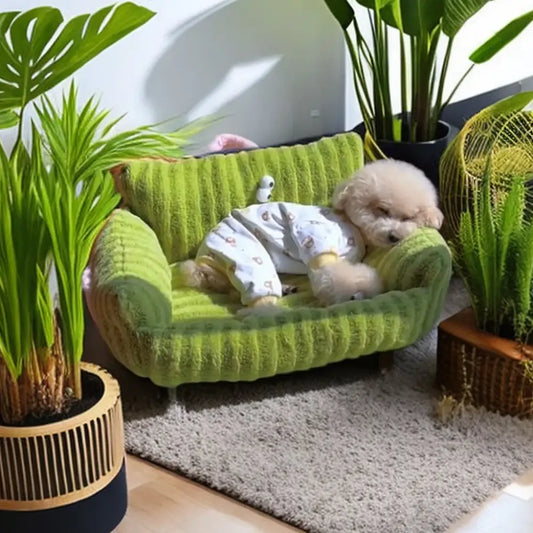 Puppy sleeping on a bright green miniature sofa.