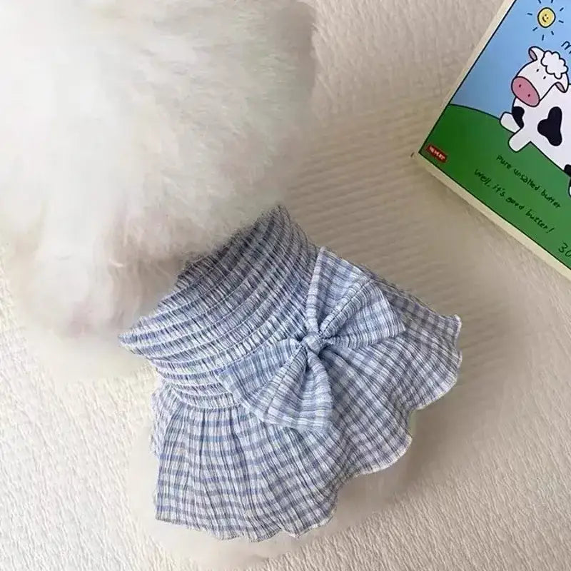 Light blue and white gingham patterned shorts with a ruffled waistband and bow detail.