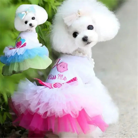 Fluffy white dog wearing a colorful tutu-style dress.