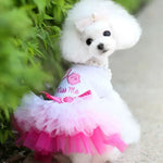 Pink Dog Tutu - Vignette | DoggyElite