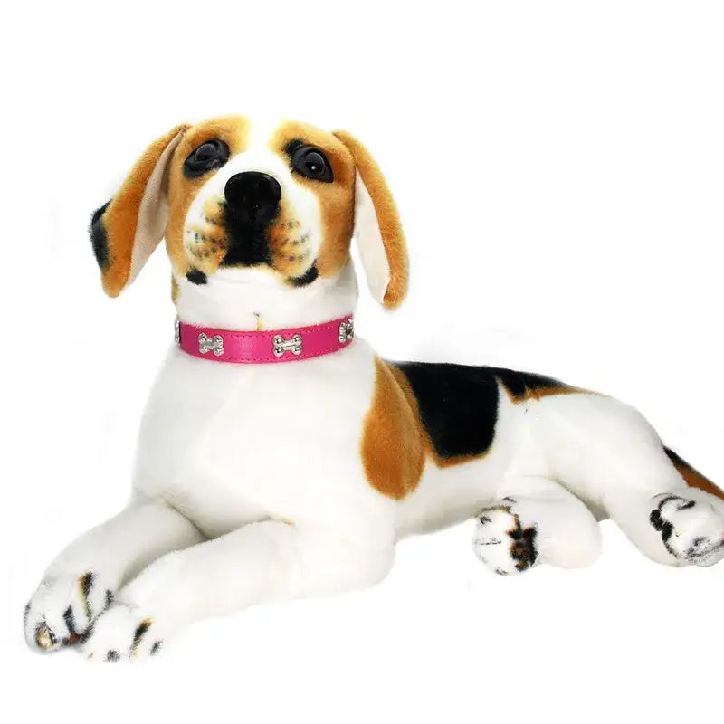 Beagle puppy wearing a pink collar, lying down with paws outstretched.