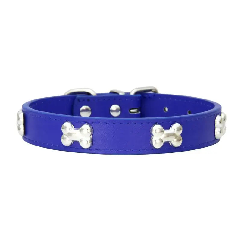 Blue dog collar with silver bone-shaped studs.