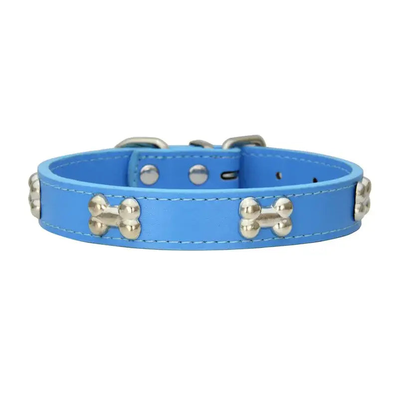 Blue leather dog collar with silver bone-shaped studs.