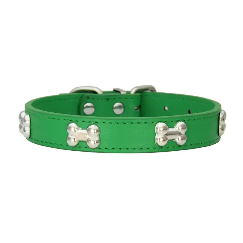 Bright green leather dog collar with silver bone-shaped studs.