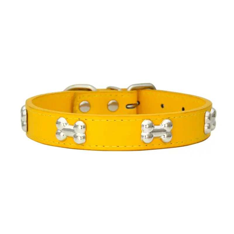 Bright yellow dog collar with silver bone-shaped studs.