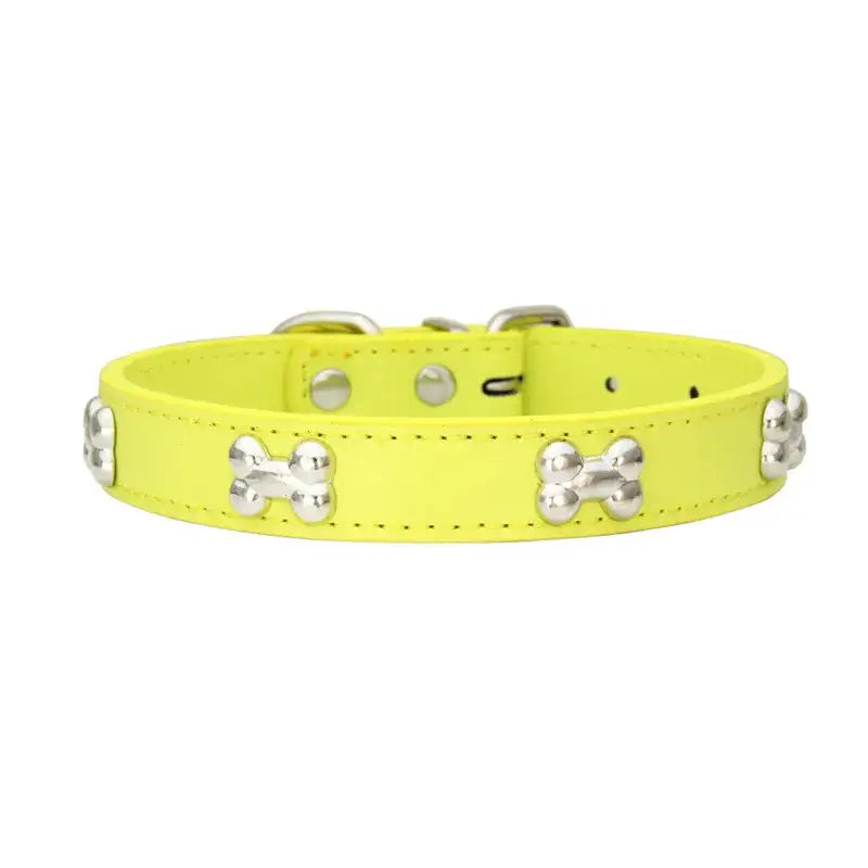 Bright yellow dog collar with silver bone-shaped studs.