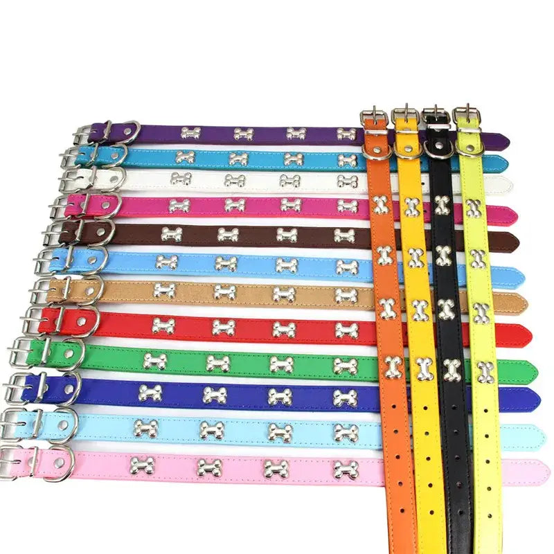 Colorful array of dog collars with bone-shaped studs and various buckle designs.