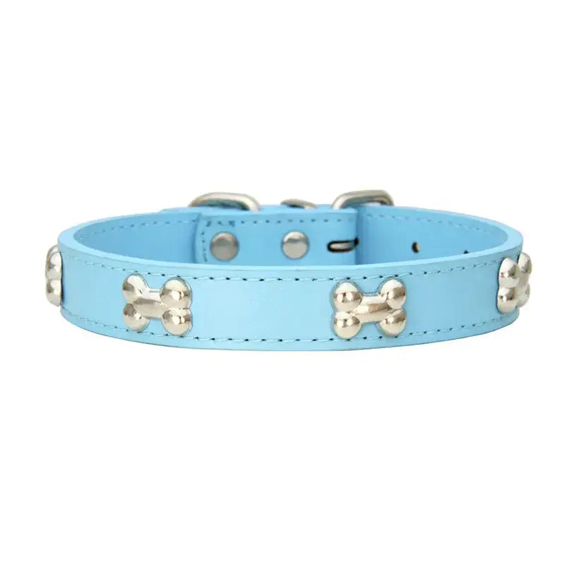 Light blue leather dog collar with silver bone-shaped studs.