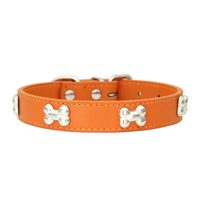 Orange leather dog collar decorated with silver bone-shaped studs.