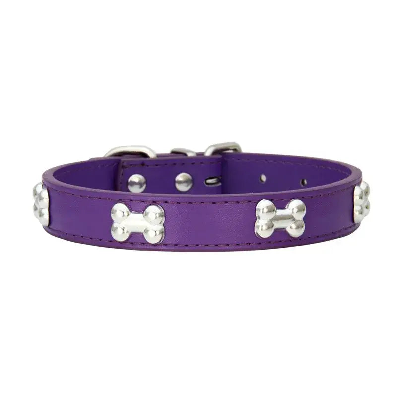 Purple leather dog collar decorated with silver bone-shaped studs.