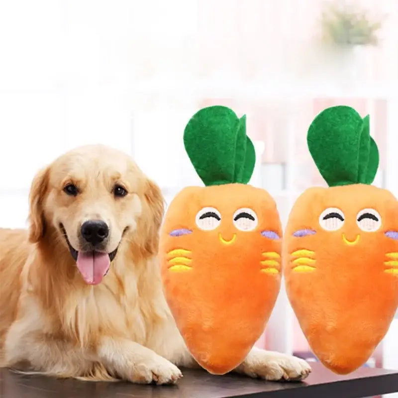 Golden Retriever dog lying next to two plush carrot toys with smiling faces.