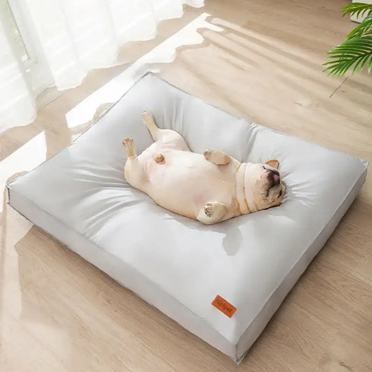 French bulldog lying on its back on a plush dog bed.