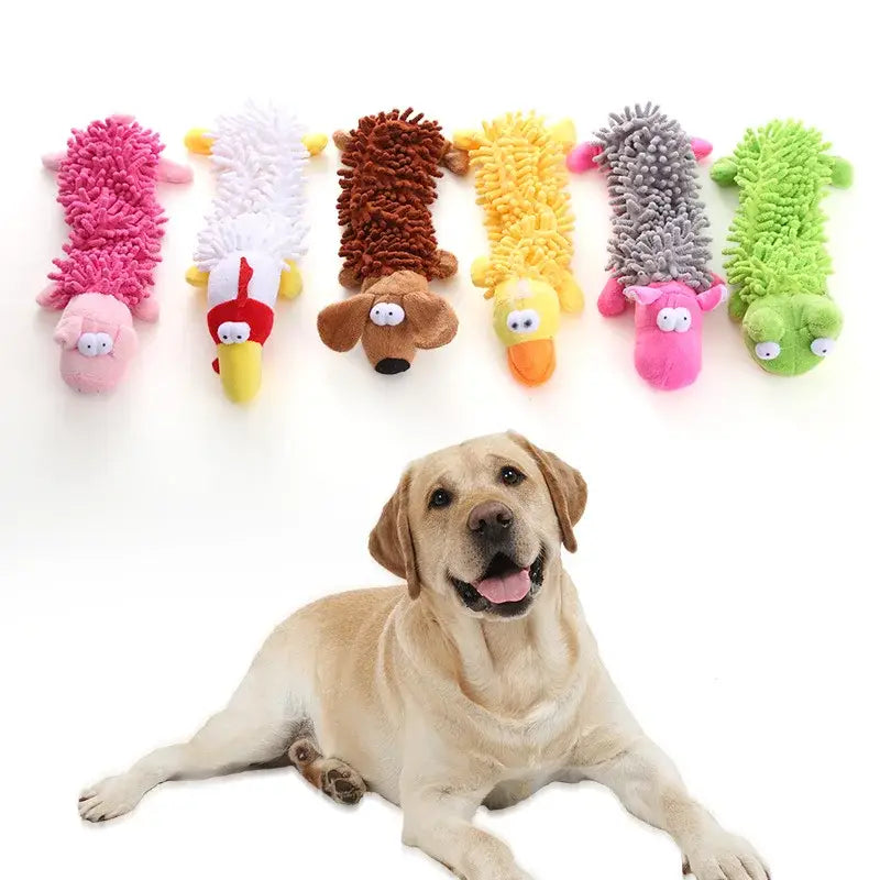 Yellow Labrador Retriever lying down with a friendly expression.