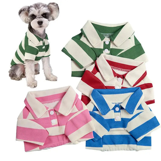 Dog wearing a green and white striped polo shirt.