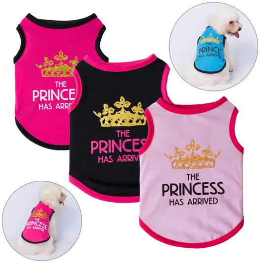 Dog clothing items featuring royal-themed slogans and crown designs.