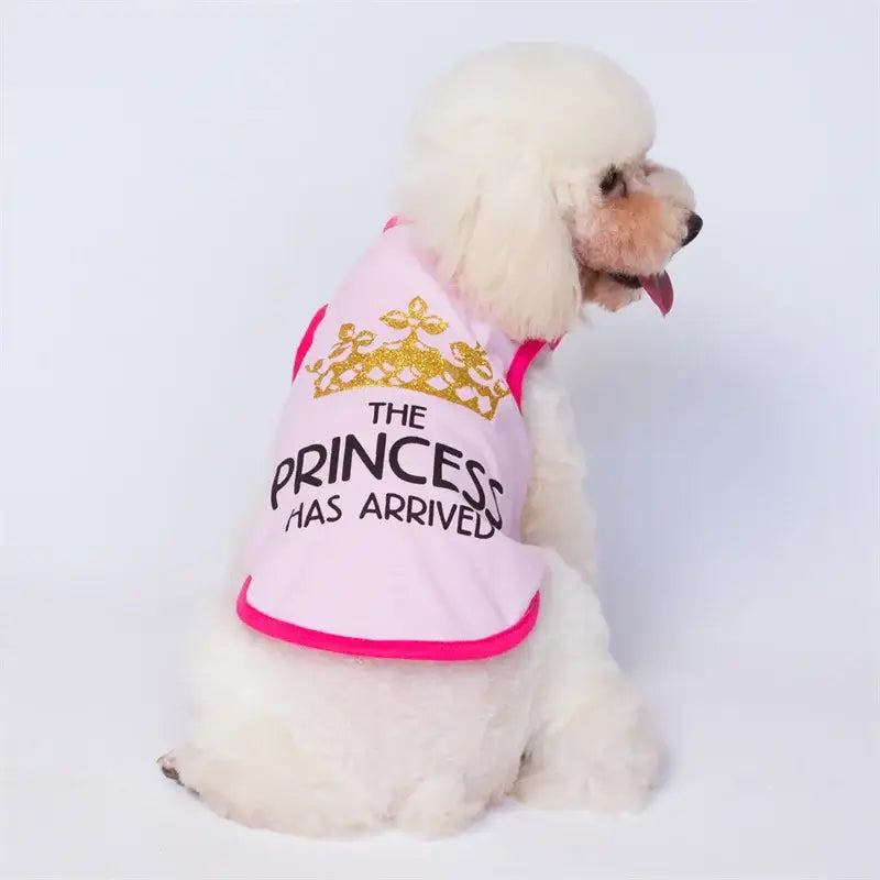 White dog wearing a pink shirt with ’THE PRINCESS HAS ARRIVED’ text and a crown graphic.