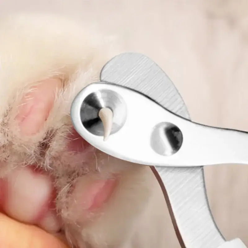 Nail clippers trimming fur or hair.