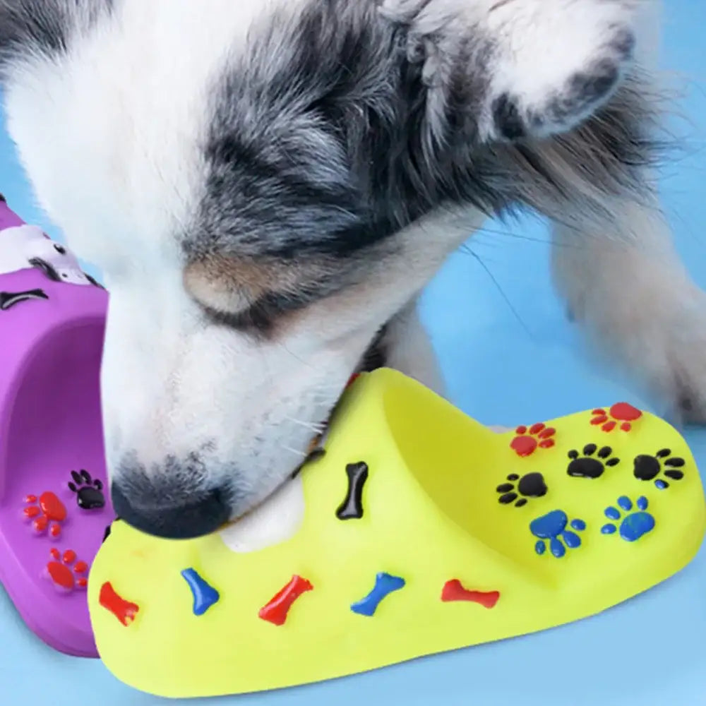 Dog sniffing a colorful toy with paw prints and bone shapes.