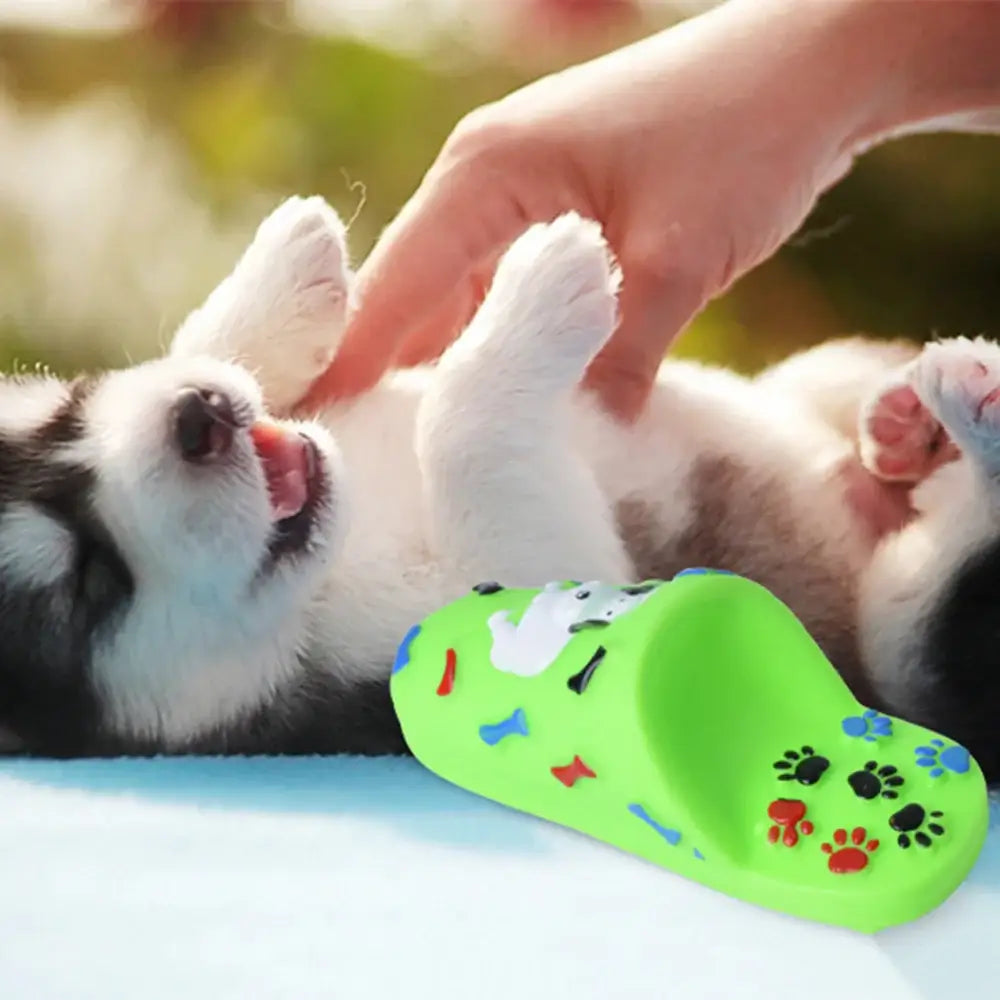 Fluffy white puppy playfully reaching up towards a human hand.