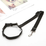 Purple Dog Seatbelt Harness and Leash Set - Vignette | DoggyElite