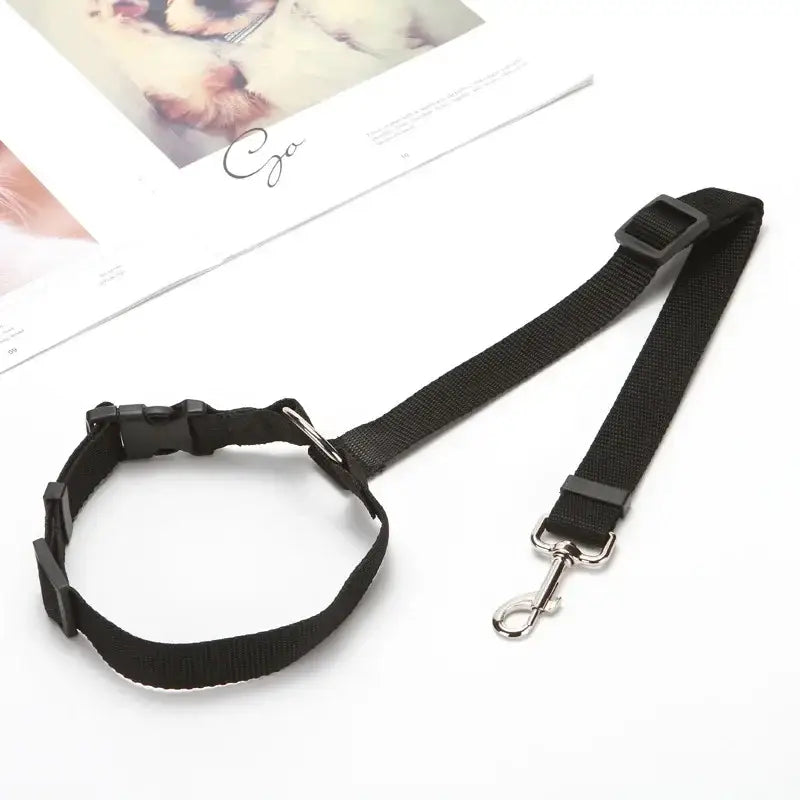 Black dog collar with attached leash.