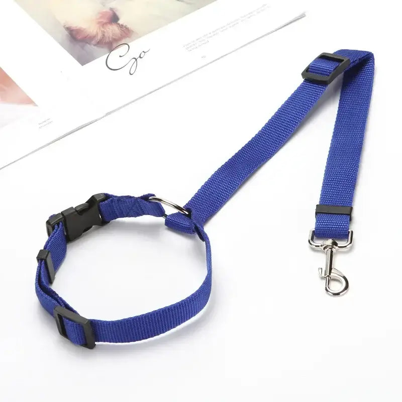 Blue nylon dog collar with matching leash attached.