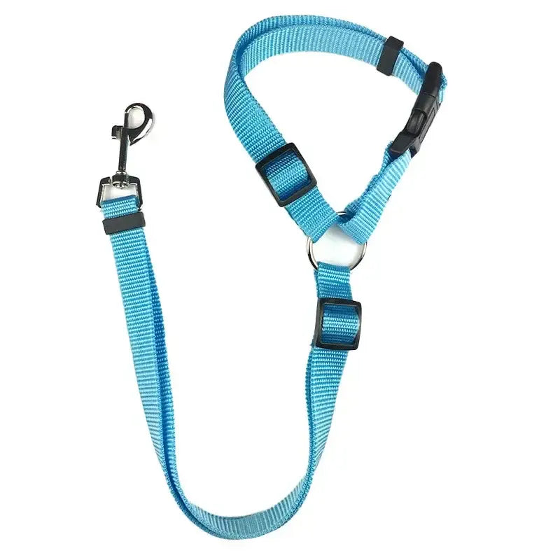 Blue nylon dog leash with adjustable collar attachment.