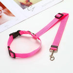 Purple Dog Seatbelt Harness and Leash Set - Vignette | DoggyElite