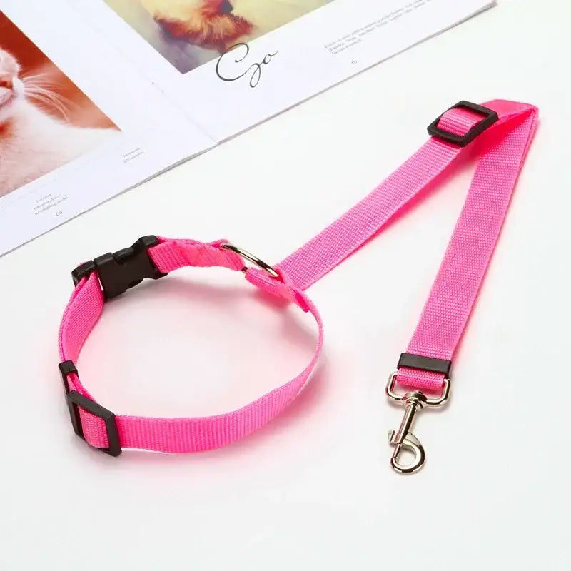 Bright pink dog collar and matching leash set.