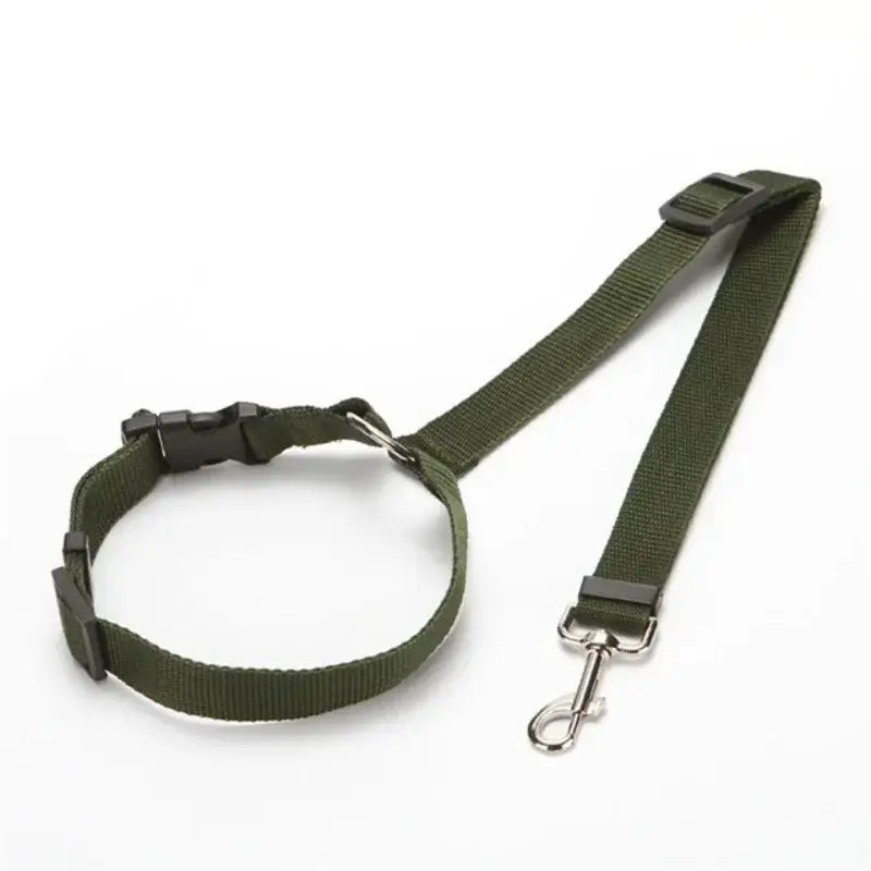 Dog collar and leash set in olive green color.